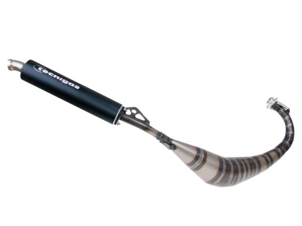 Auspuff Tecnigas G-Box für Aprilia RS50 2010-, Derbi GPR 50 2009-