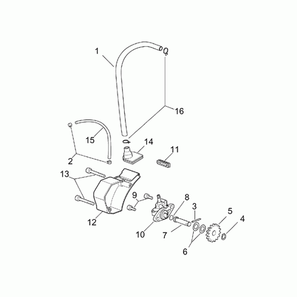 Motor – Ölpumpe Minarelli AM6